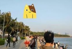 深圳湾网红最新爆料,揭秘网红打卡地背后的秘密与惊喜